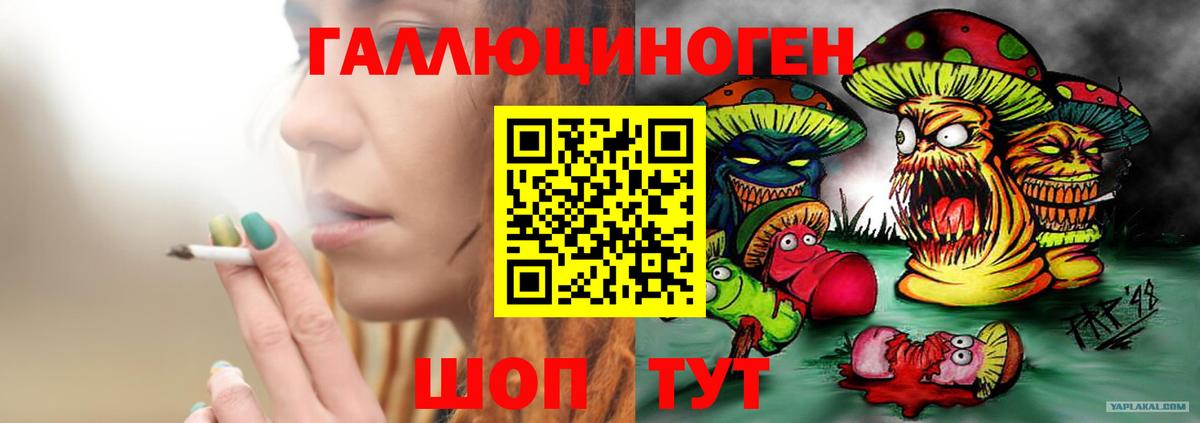 Псилоцибиновые грибы мицелий Тавда